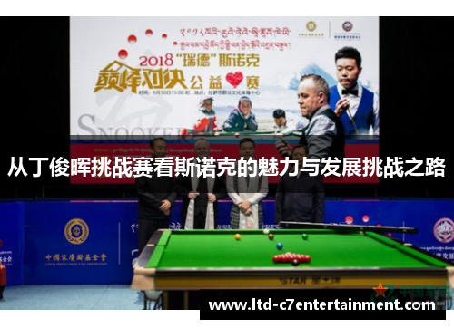 从丁俊晖挑战赛看斯诺克的魅力与发展挑战之路