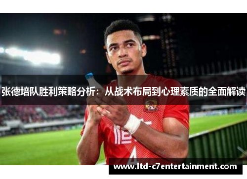 张德培队胜利策略分析：从战术布局到心理素质的全面解读