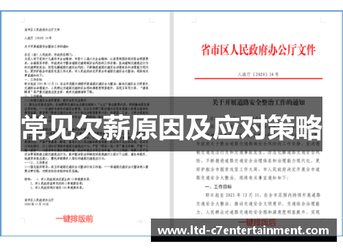 常见欠薪原因及应对策略