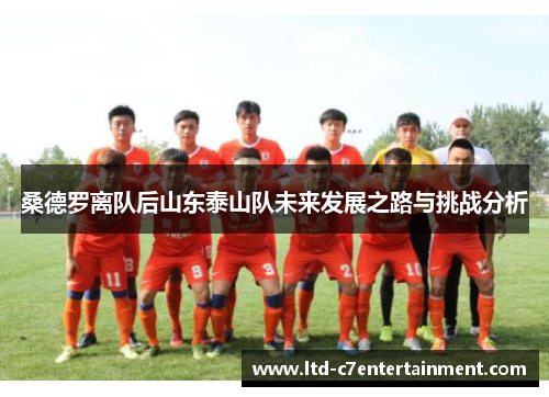桑德罗离队后山东泰山队未来发展之路与挑战分析