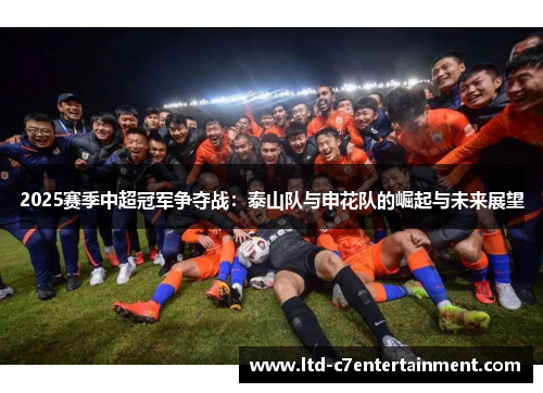 2025赛季中超冠军争夺战：泰山队与申花队的崛起与未来展望