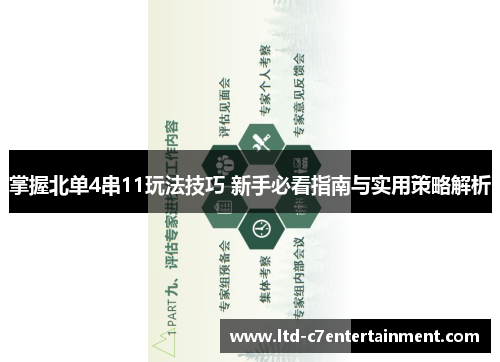 掌握北单4串11玩法技巧 新手必看指南与实用策略解析