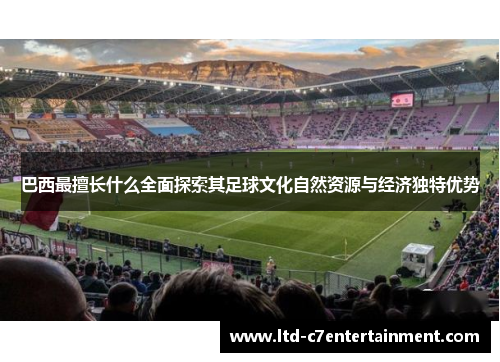 巴西最擅长什么全面探索其足球文化自然资源与经济独特优势