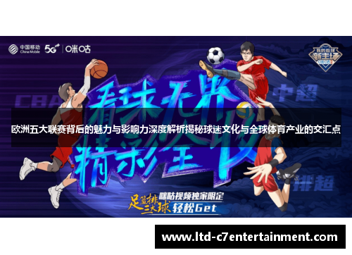 欧洲五大联赛背后的魅力与影响力深度解析揭秘球迷文化与全球体育产业的交汇点