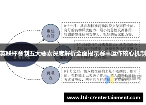 英联杯赛制五大要素深度解析全面揭示赛事运作核心机制