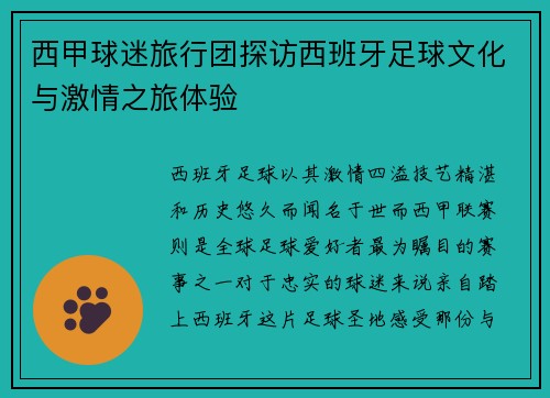 西甲球迷旅行团探访西班牙足球文化与激情之旅体验