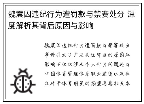 魏震因违纪行为遭罚款与禁赛处分 深度解析其背后原因与影响